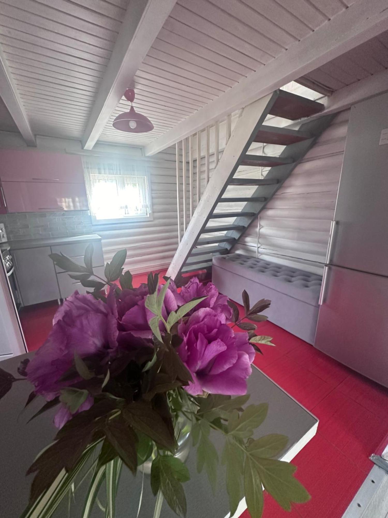 Садиба Дерев*Яна Хата Verkhovyna Exterior foto
